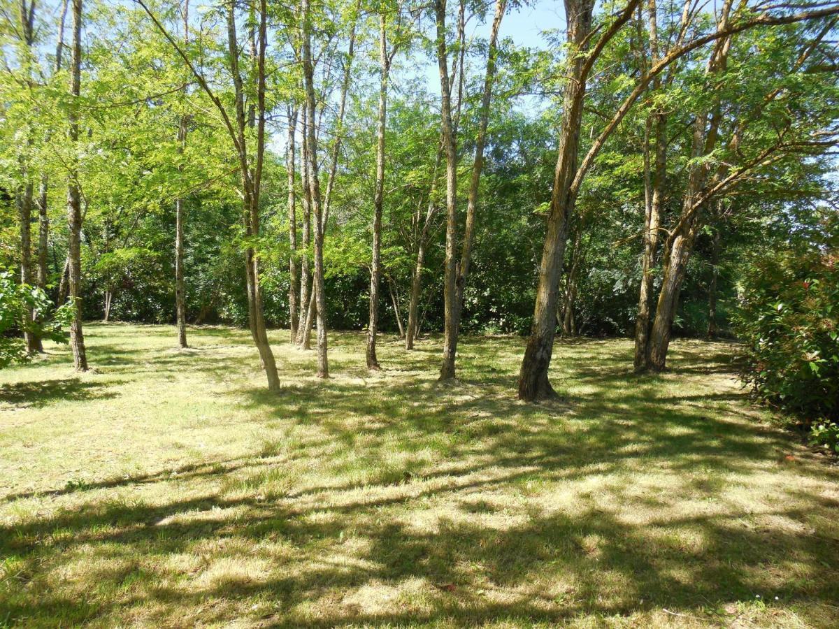 Le Chalet Bois De Celio Coux Buitenkant foto